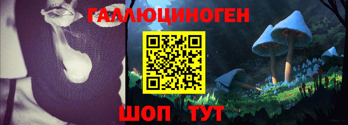 Псилоцибиновые грибы Psilocybe  Вход с VPN  Галлюциногенные грибы Magic Shrooms  Гусиноозёрск 