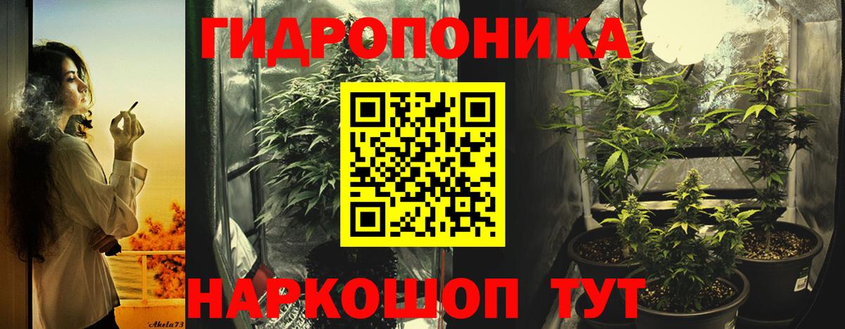 Бошки Шишки Ganja  Вход с VPN  Бошки Шишки планчик  Шишки марихуана планчик  Гусиноозёрск 